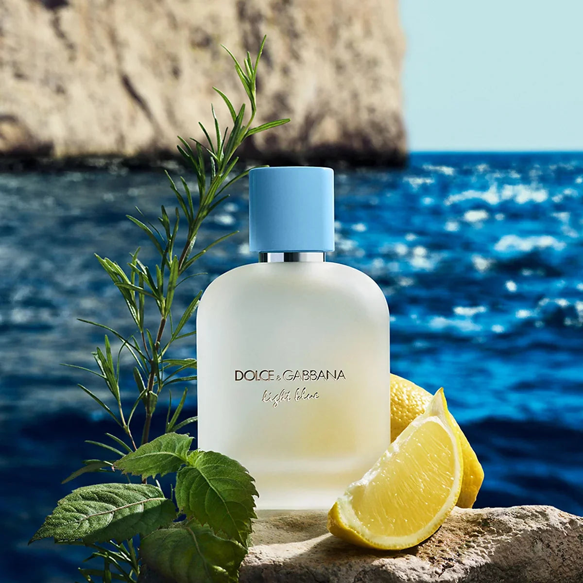 DOLCE & GABBANA Light Blue 3.4 oz EDT for men (2025)